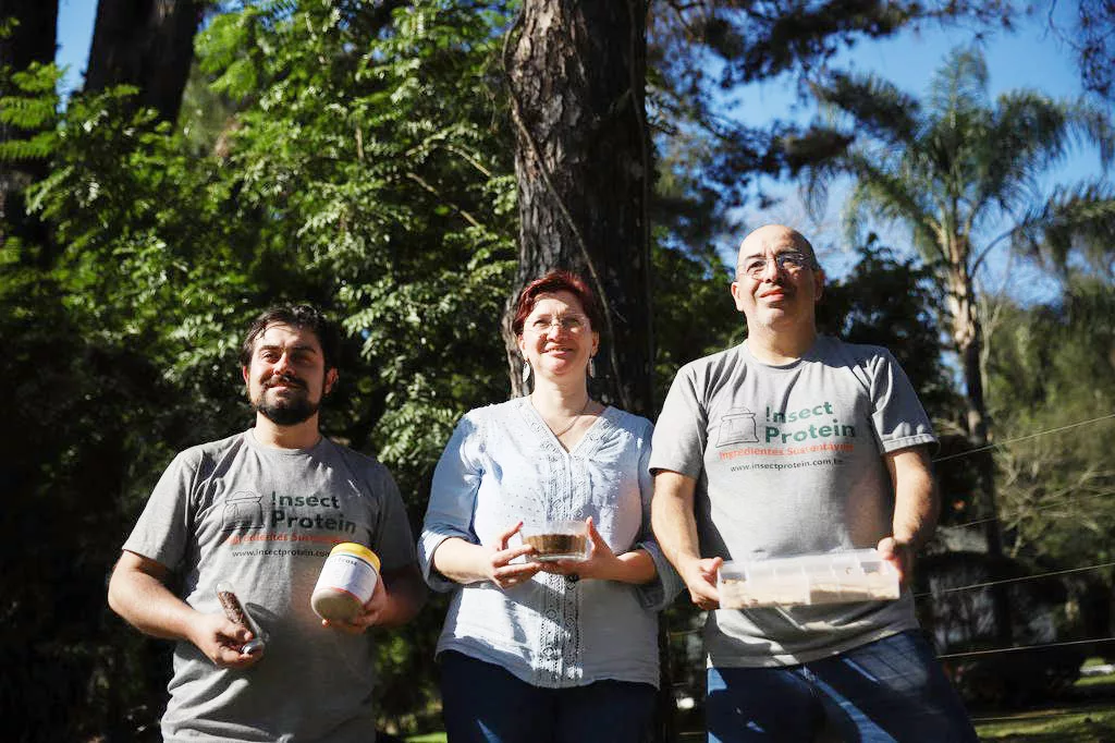 proteína de insetos usada na alimentação animal