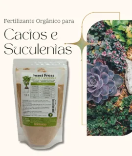 Adubo para Cactos e Suculentas